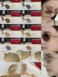 Picture of Cartier Sunglasses _SKUfw80049601fw